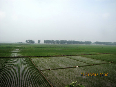 稻 田-赤峰信息港