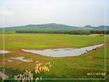夏游四家水庫(kù)——赤峰清涼避暑勝地探秘