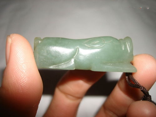 赤峰藝術收藏品之青玉豬龍 收購鑒定公司與信息指南